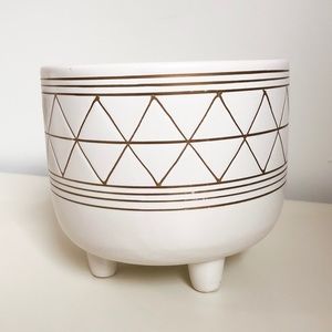 Pot with Modern Design